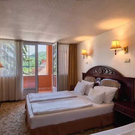 Hotel Bellevue 3*